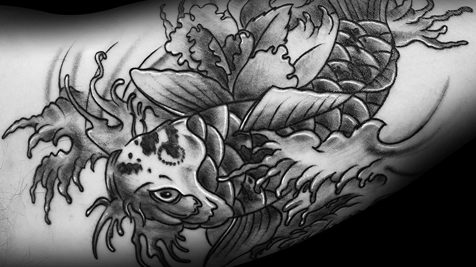 Koi