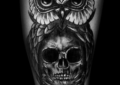 Skull-Owl