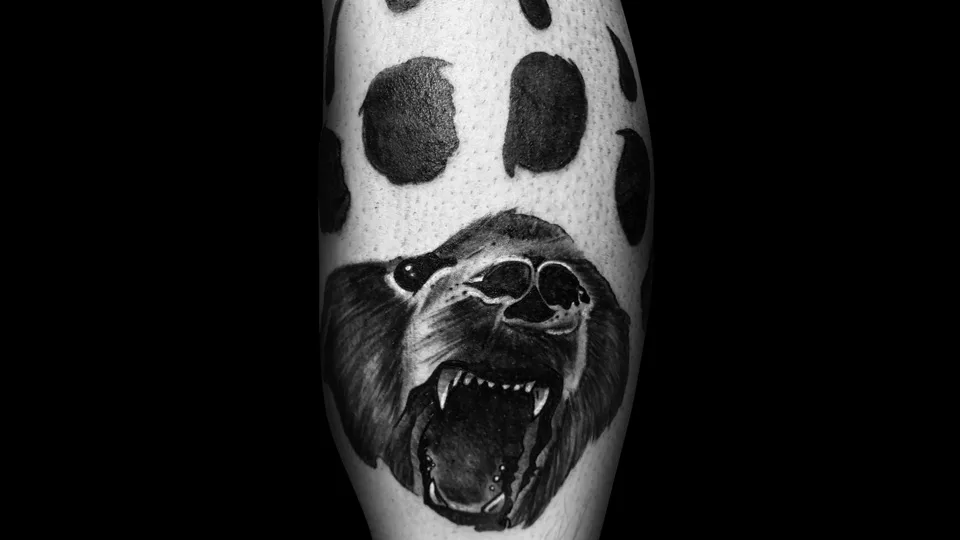 Bear