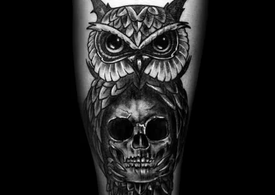 Skull-Owl