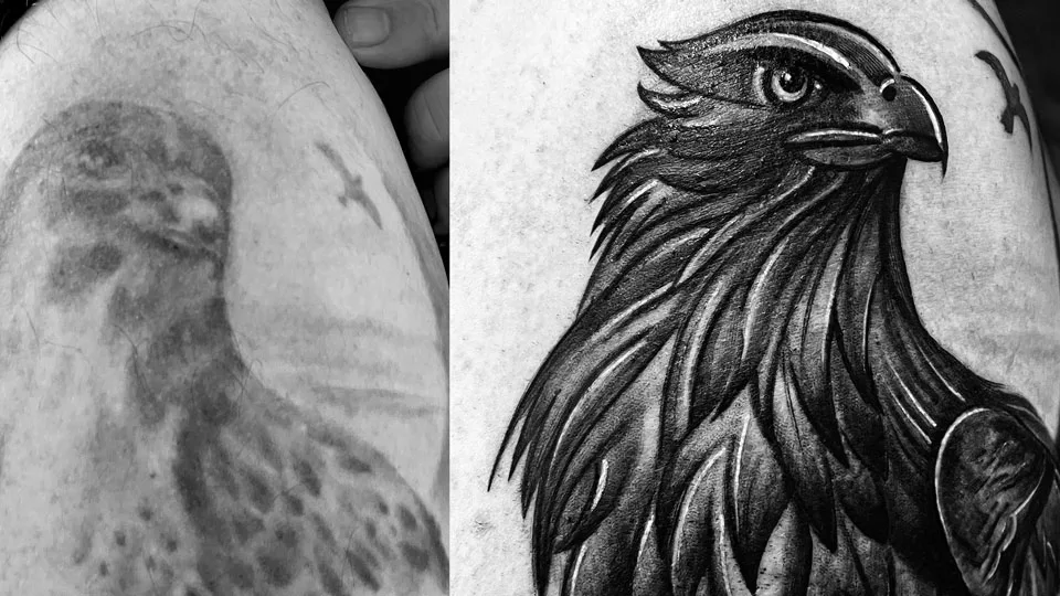 EAGLE COVER