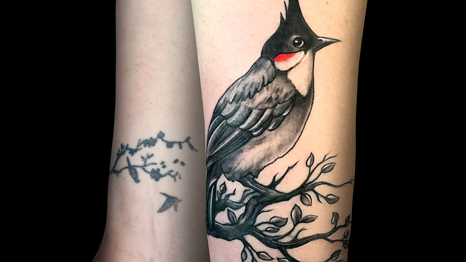 LITTLE BIRD COVER