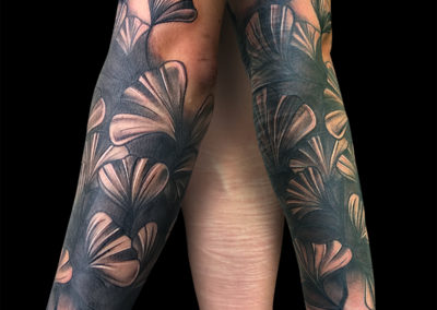 Recouvrement cicatrices