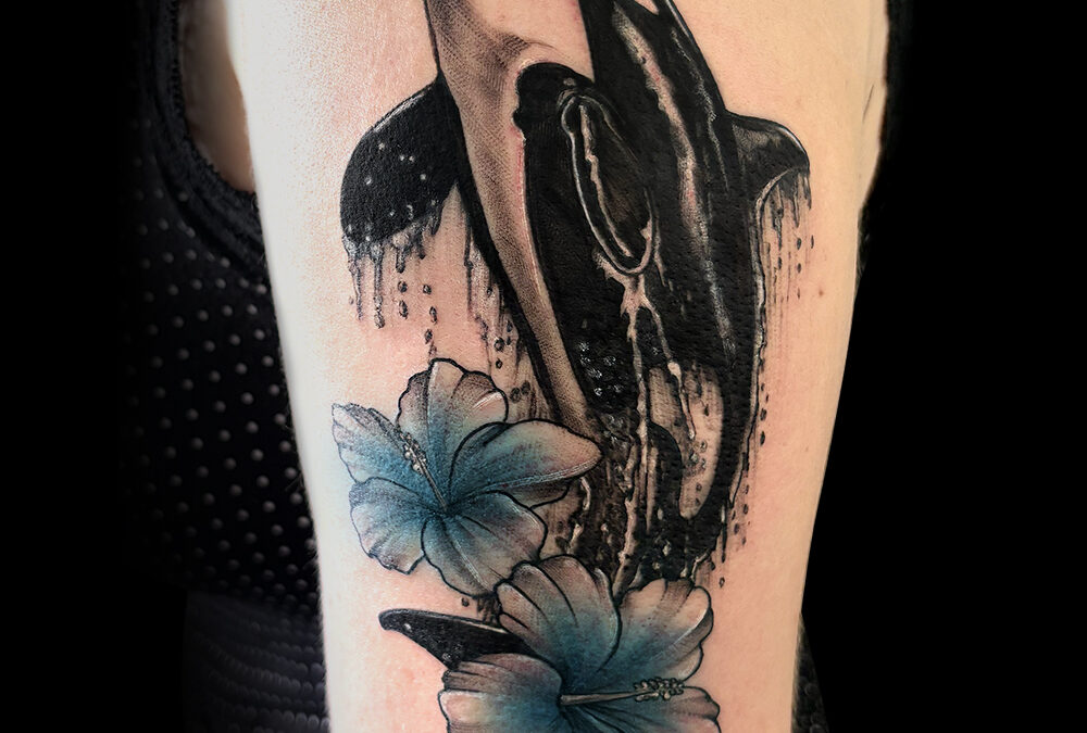 Orca