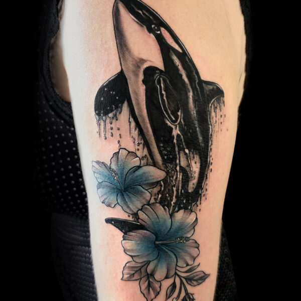 Orca